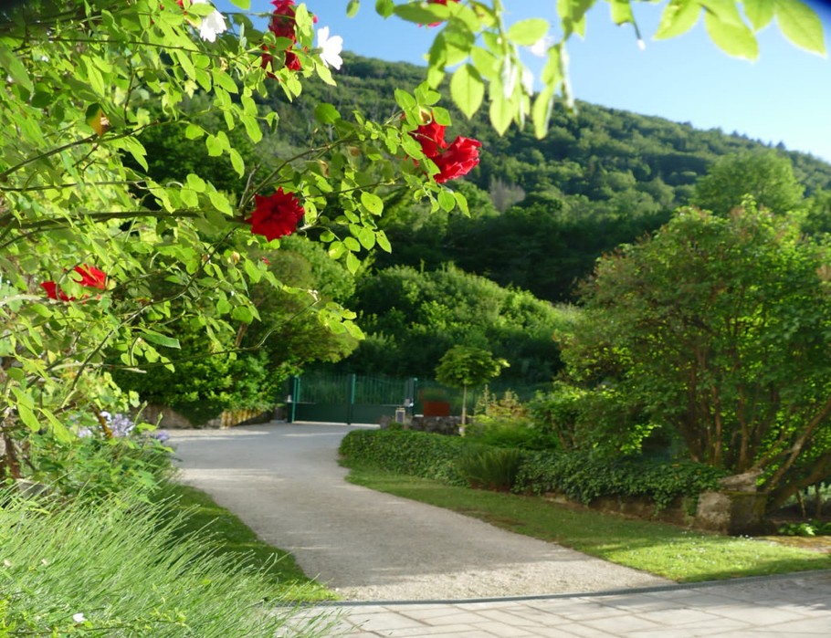 Le printemps s'installe dans la cour
