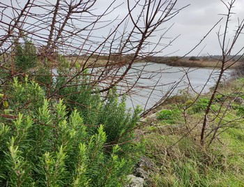 Port des Salines