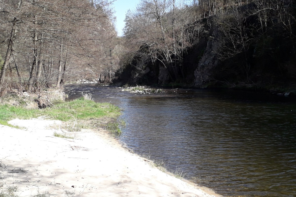 La plage avec vue en aval de la rivière
