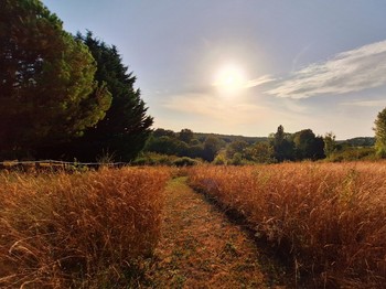 Les gîtes sur la colline - Montignac de Lauzun