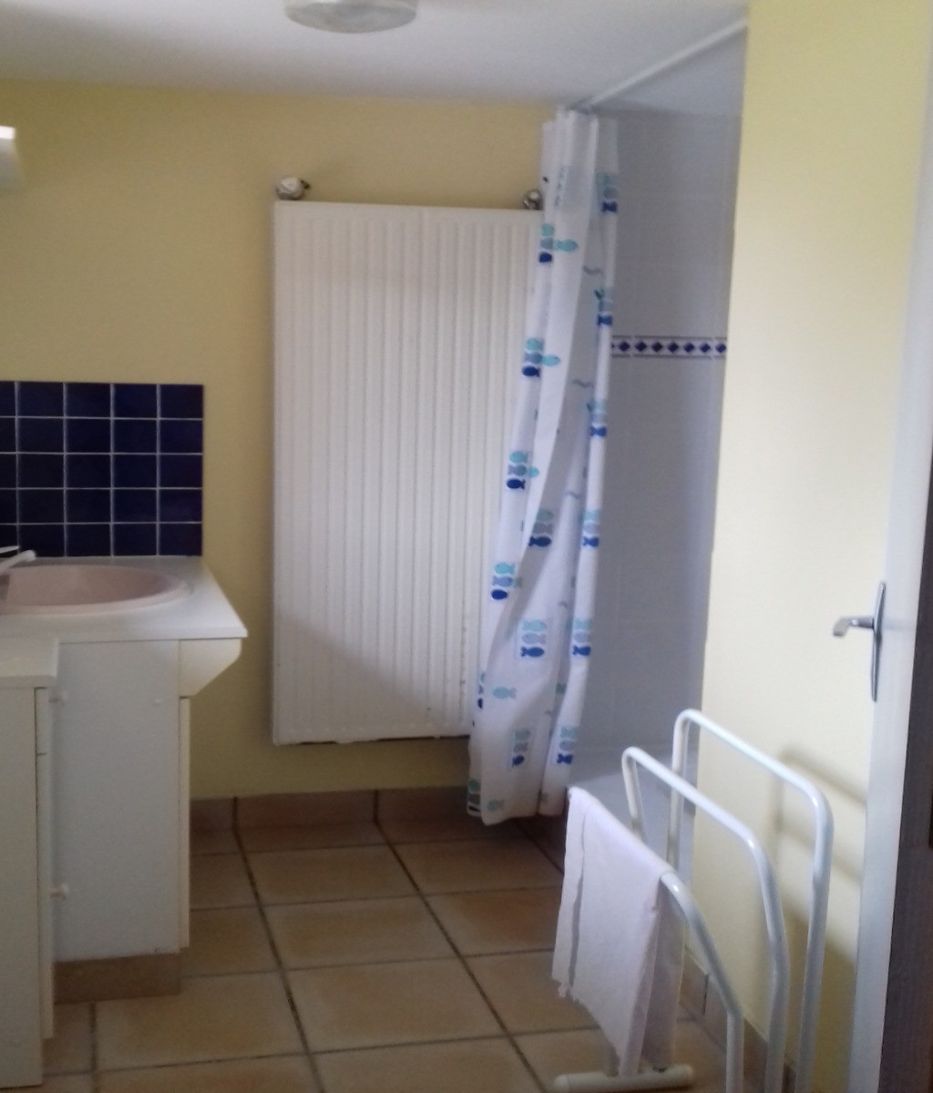 Salle d'eau avec grande douche