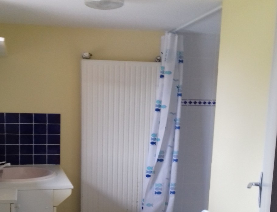 Salle d'eau avec grande douche