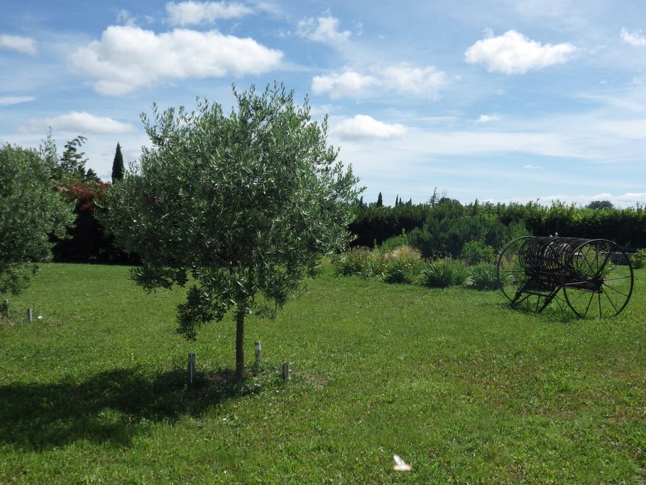 Photo n° 9 of the location