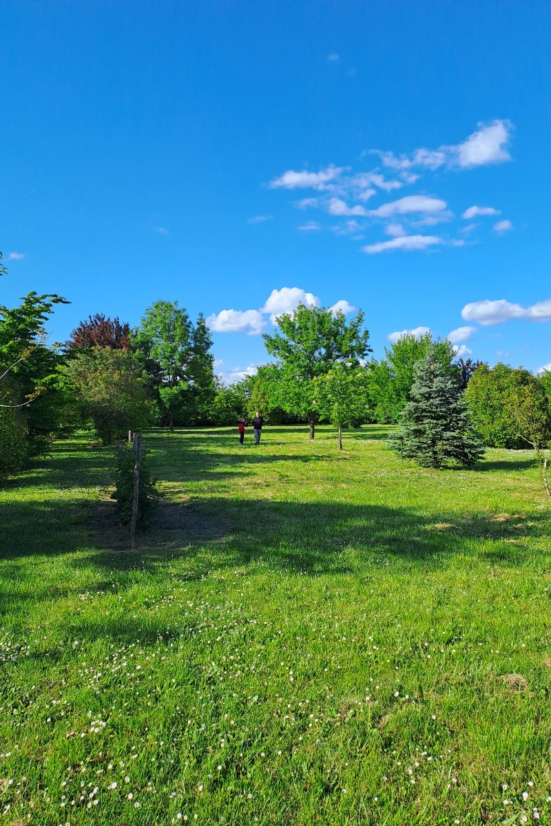 Photo n° 11 of the location