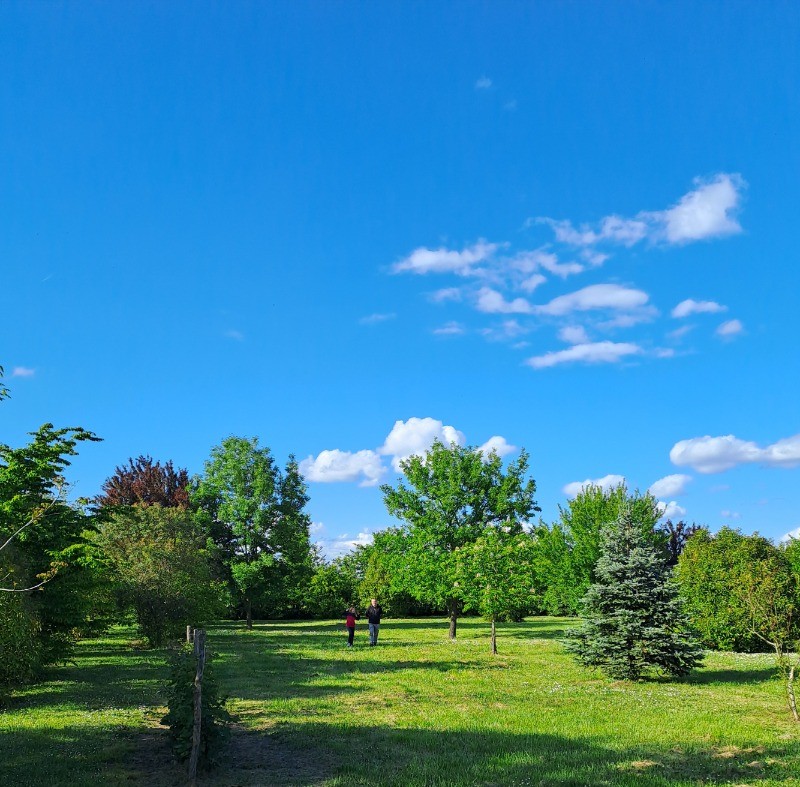 Photo n° 11 of the location