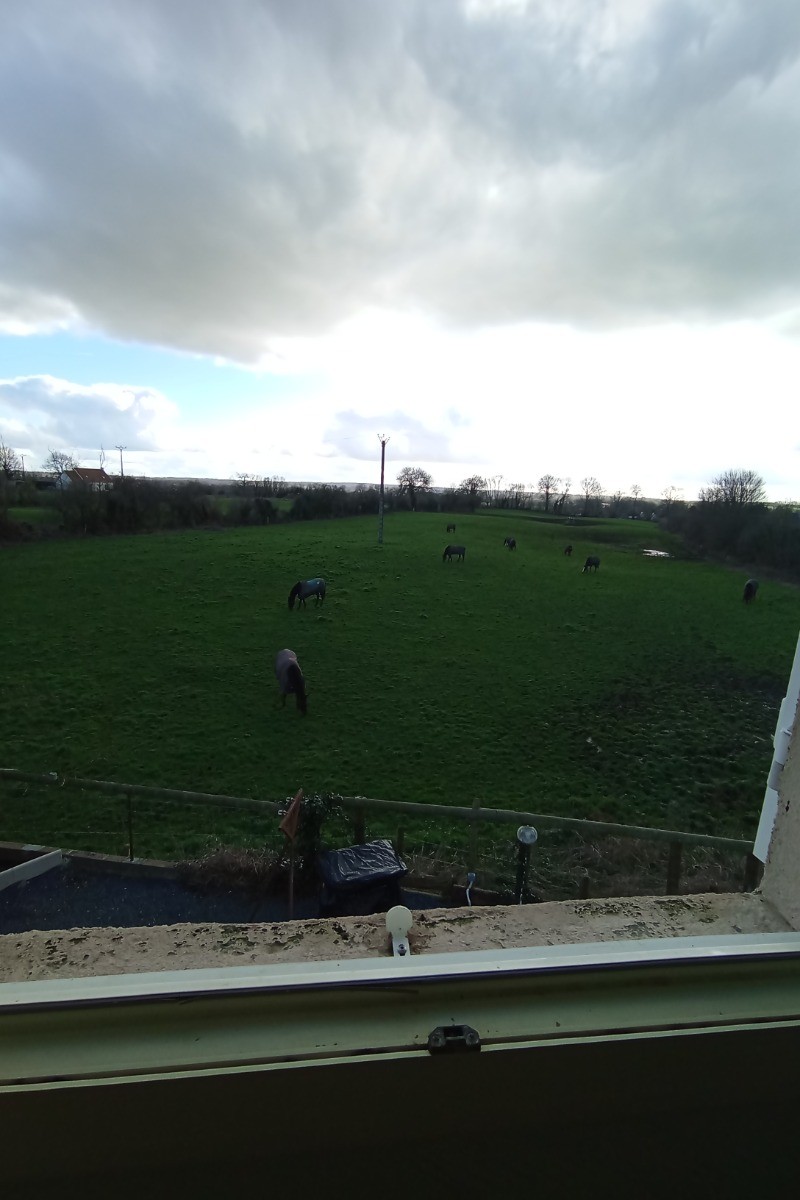 Photo n° 8 de la location