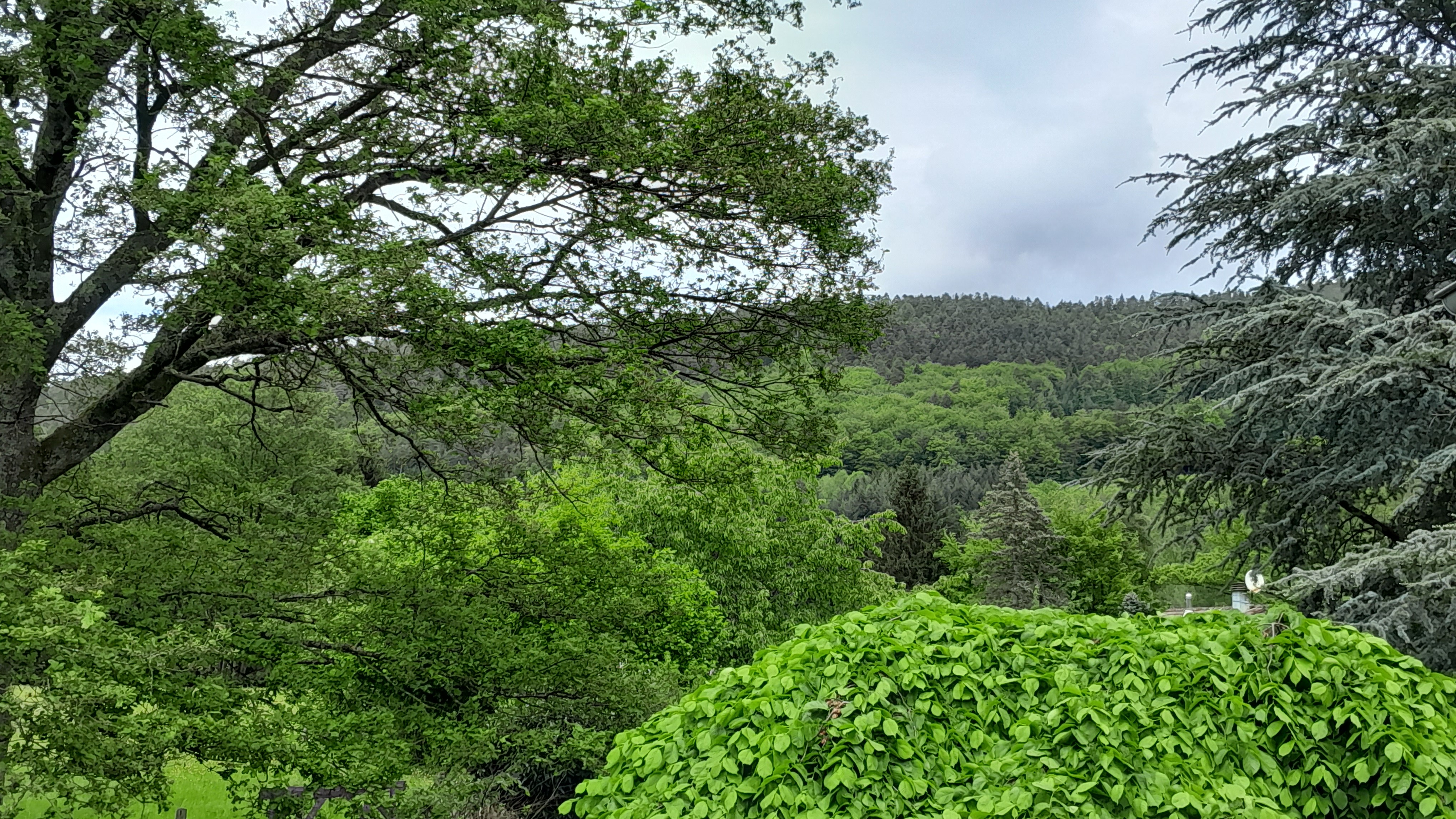Vue depuis le gite - Le P'tit Nid sous le Chêne