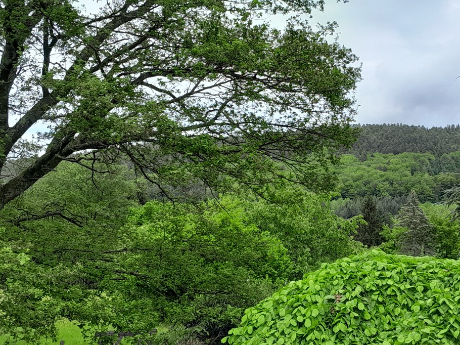 Vue depuis le gite - Le P'tit Nid sous le Chêne