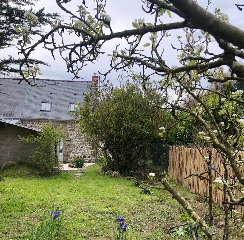 le jardin au printemps