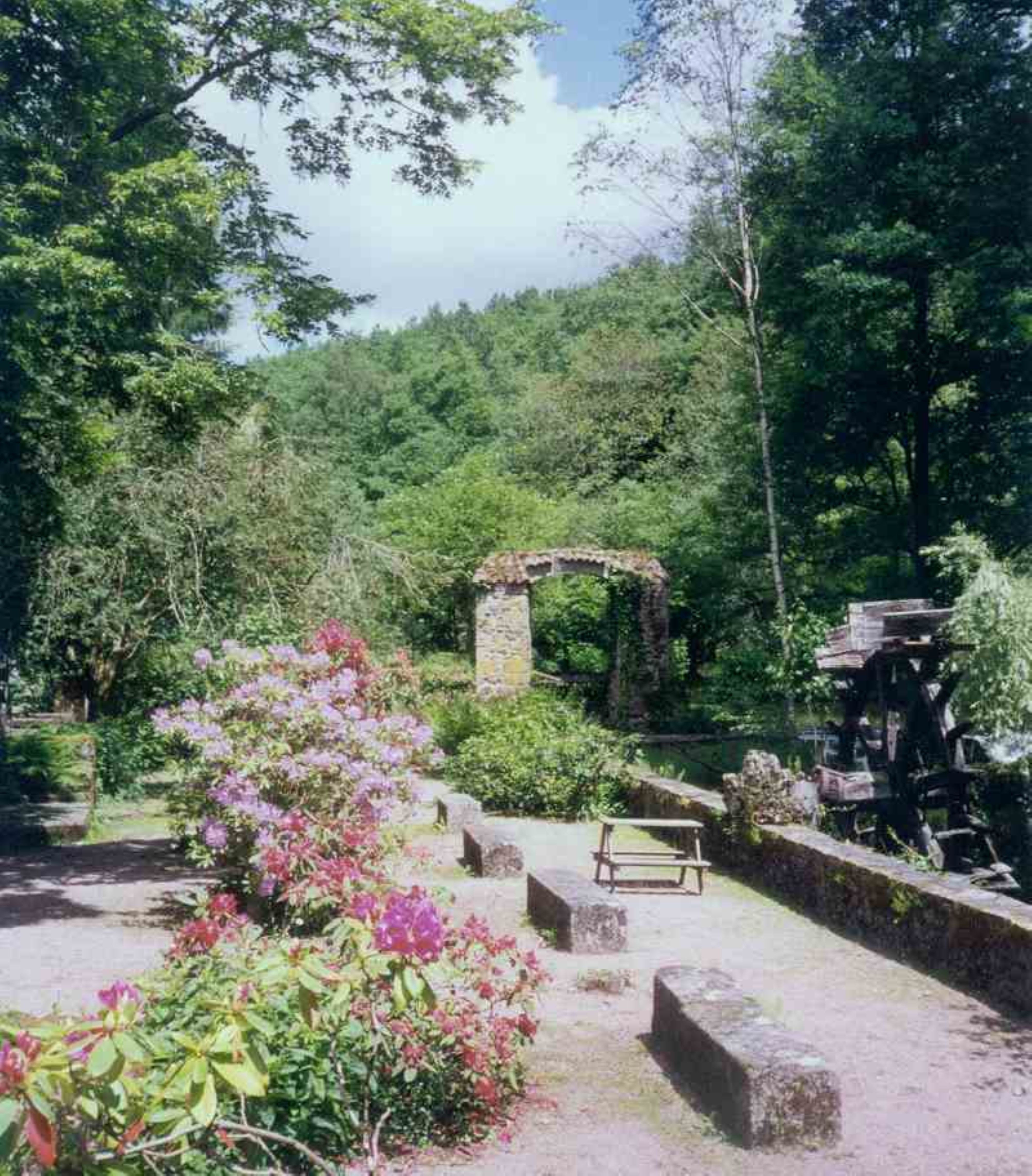 Jardin