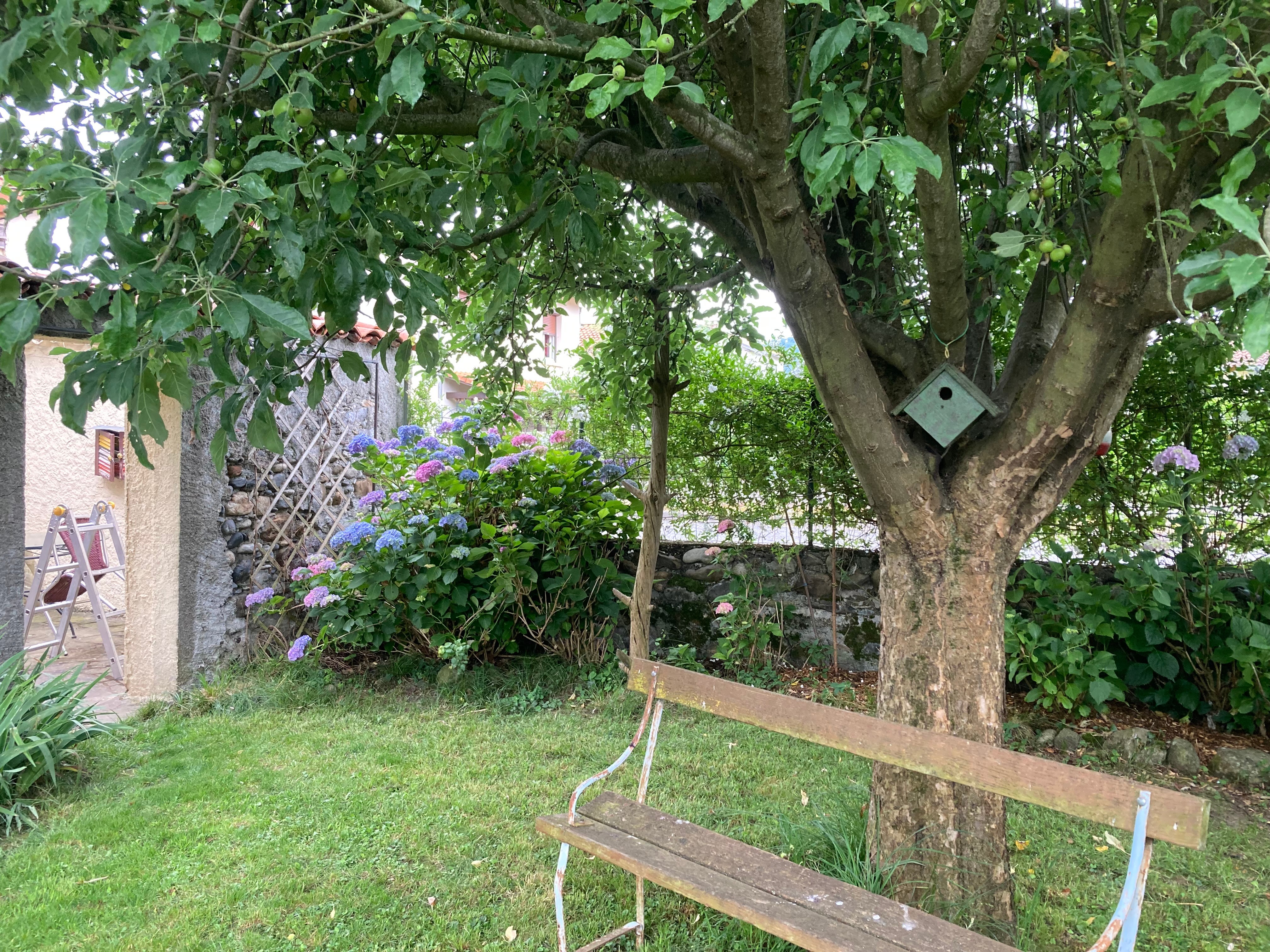 Jardin privatif