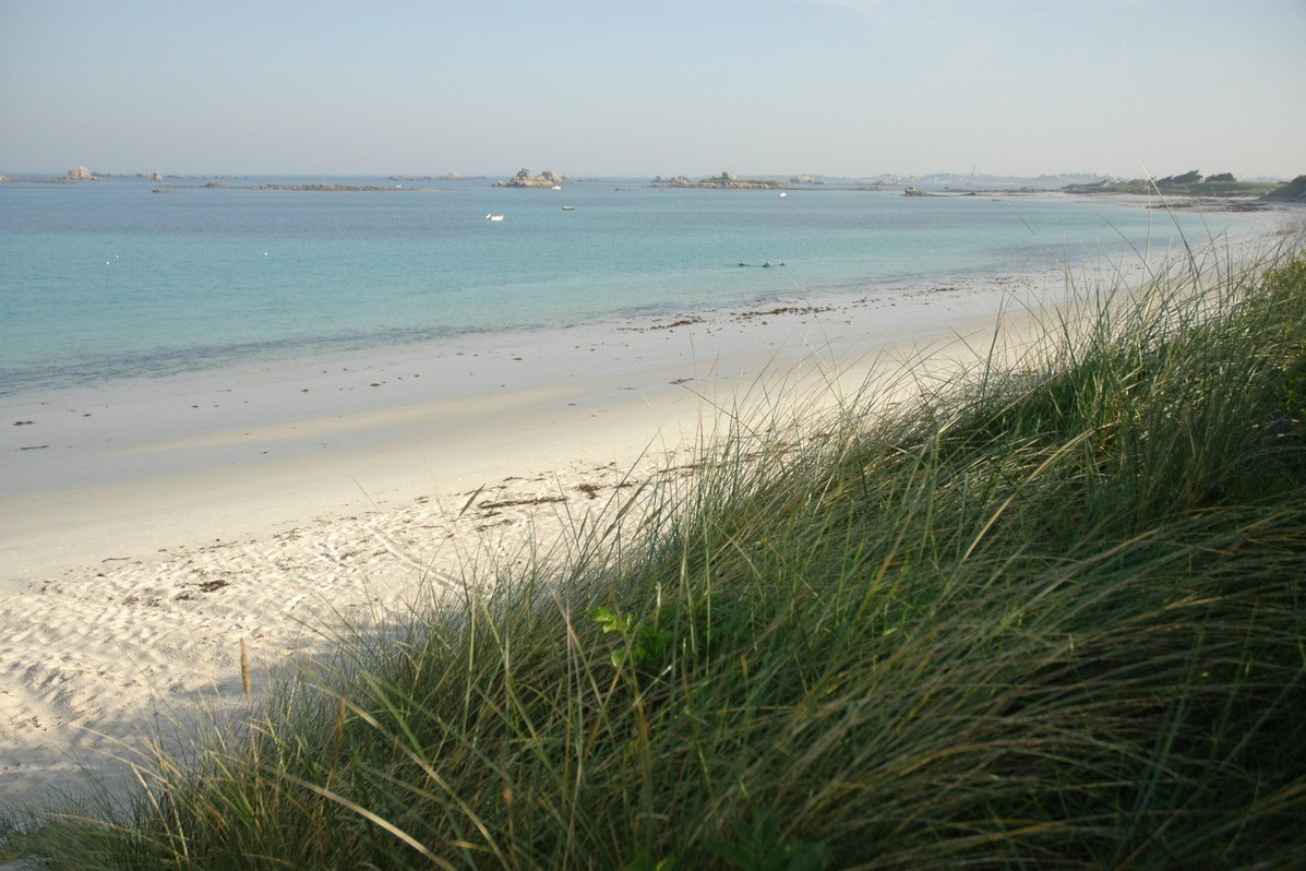 grande plage de sable blanc à proximité