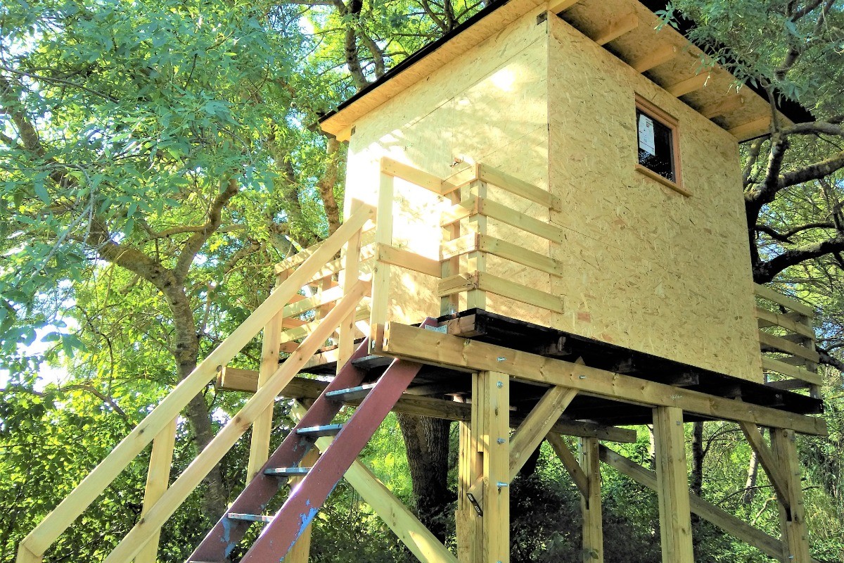La cabane dans l'arbre