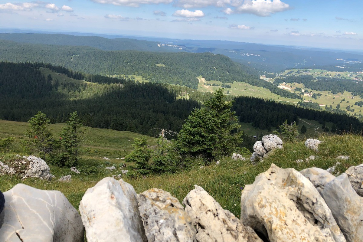 panorama depuis LA DOLE (SUISSE)