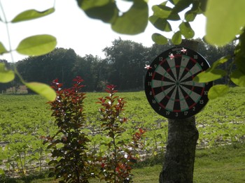 Photo n° 36 of the location