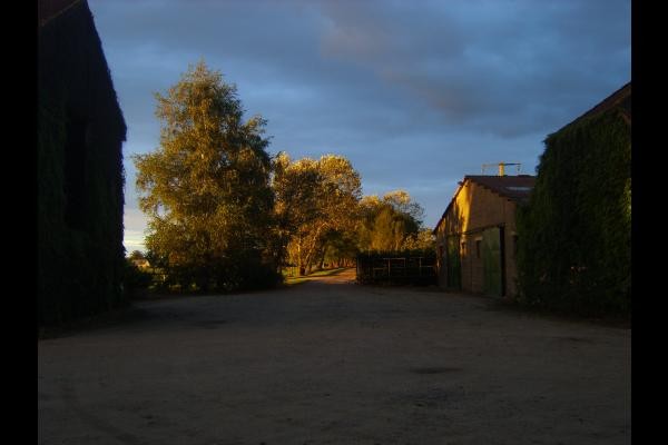 Photo n° 8 de la location