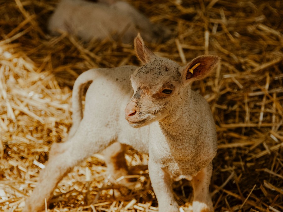 Photo n° 18 de la location