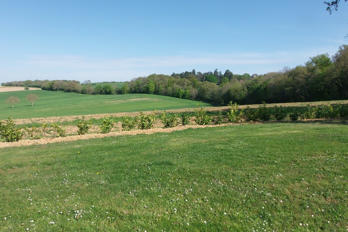 vallée