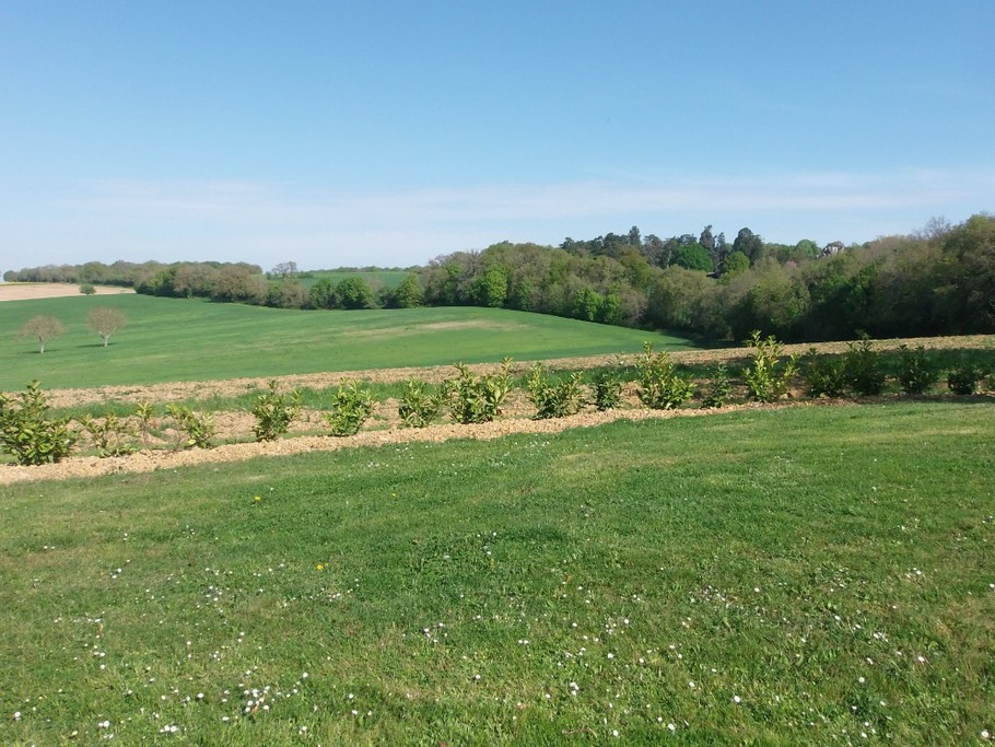 vallée