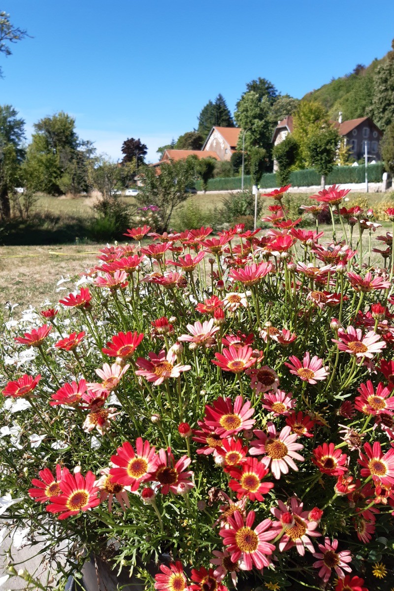 Vue sur le Théatre du Peuple depuis notre jardin fleuri - Chalet sous Le Théâtre, au cœur de Bussang dans les Vosges