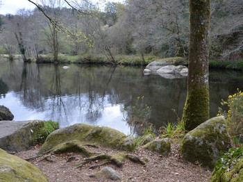 Les Roches du Diable (Locunolé)