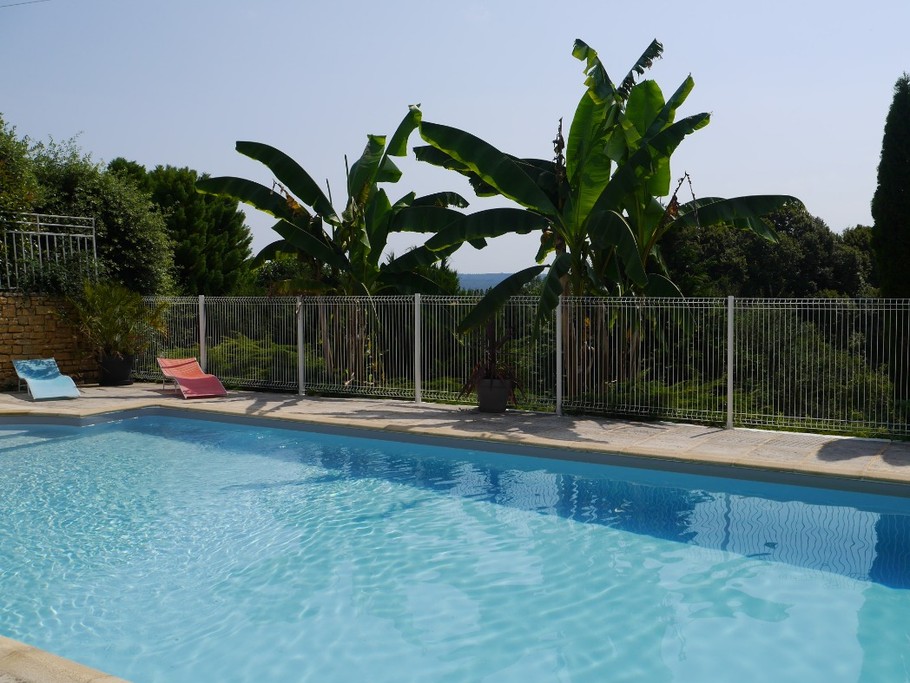 piscine et ses arbres exotiques