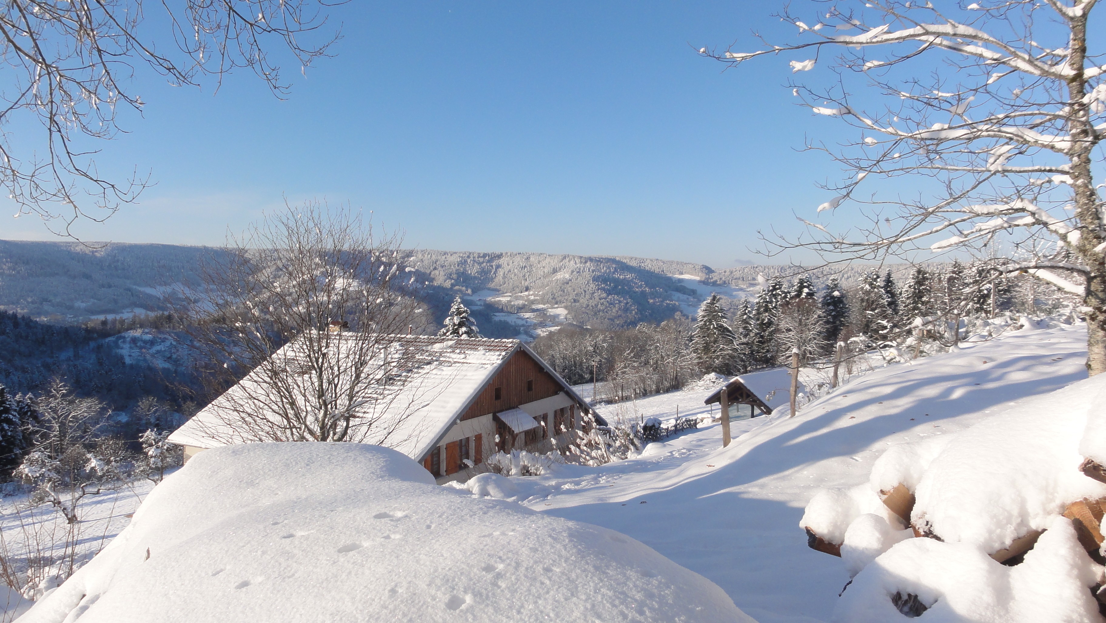 Paysage hivernal immaculé