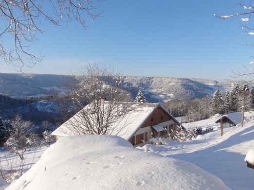 Paysage hivernal immaculé