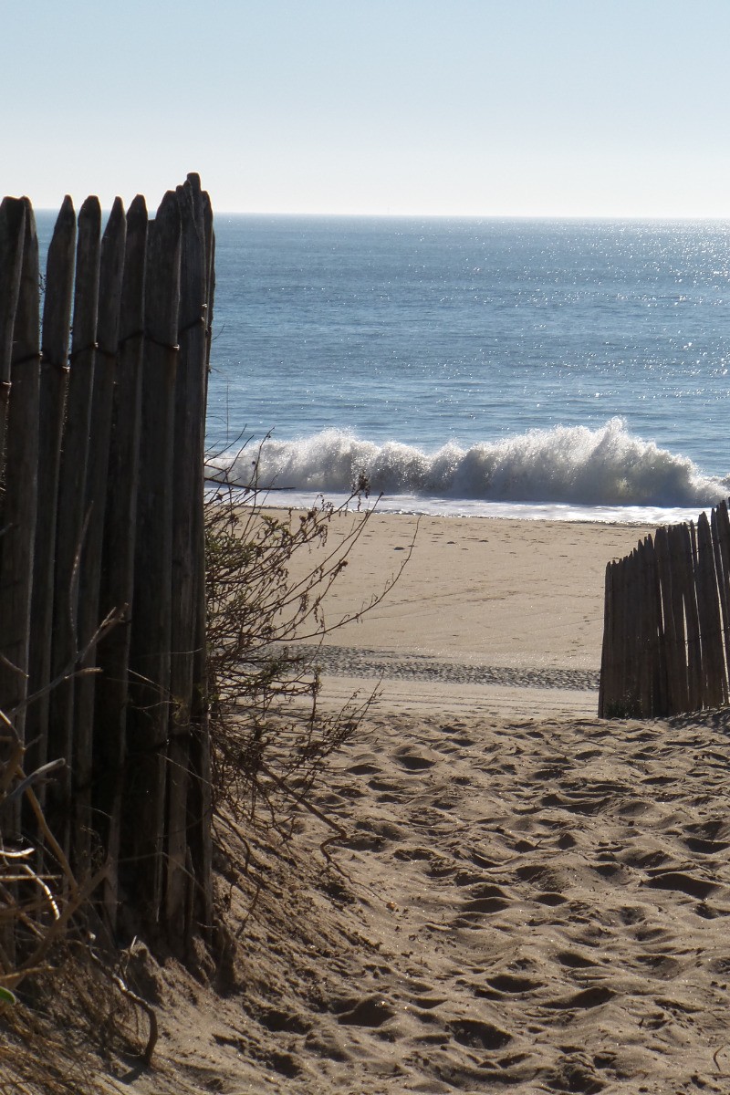 Plage des Conches