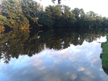 Rivière : La Sioule