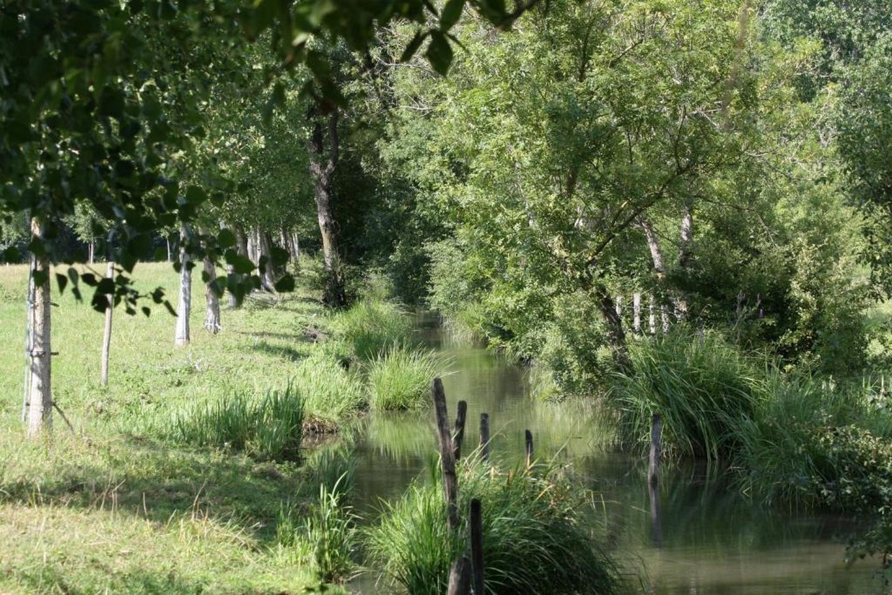 Photo n° 18 of the location