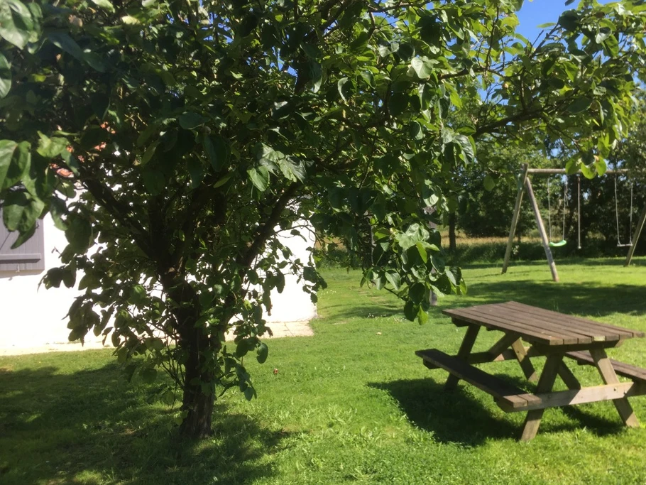 Photo n° 12 de la location