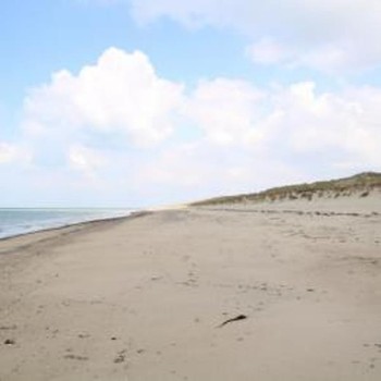 Photo n° 0 of the location