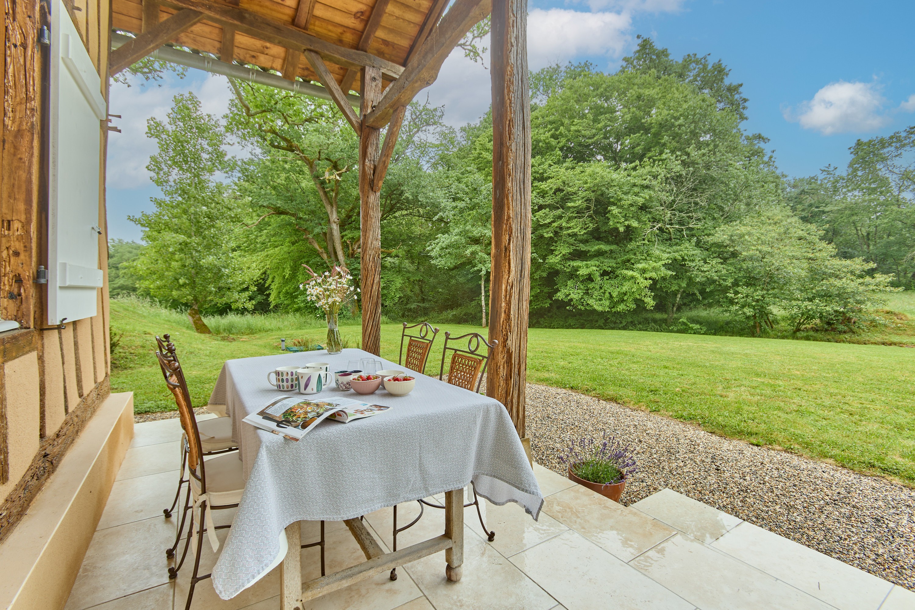 Terrace and dining area - Gîte de Peyrucolle - Labastide D'Armagnac