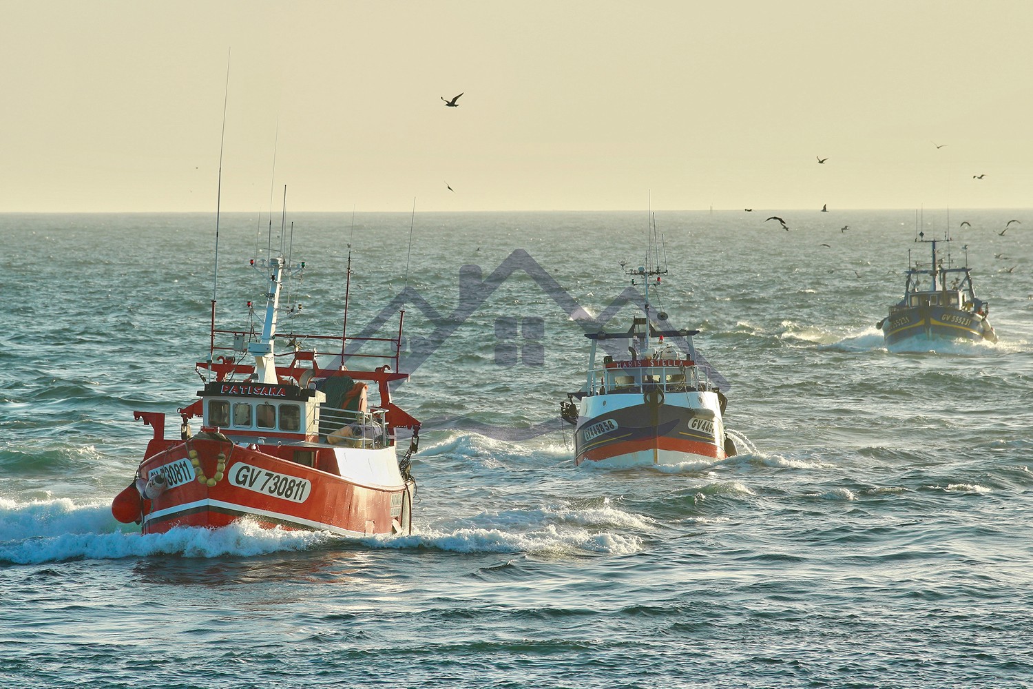 Photo n° 6 of the location