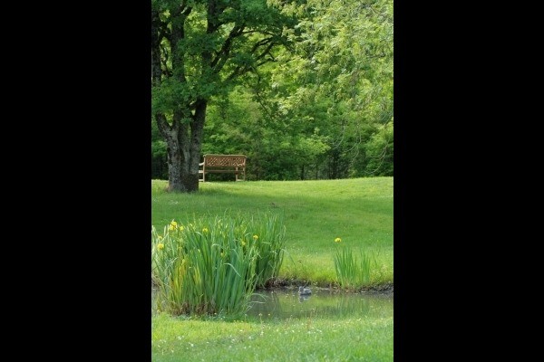 Photo n° 15 de la location
