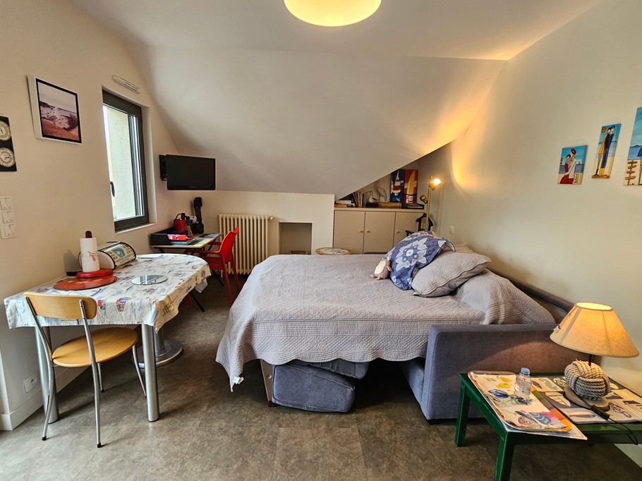 Studio with kitchenette on the left, comfortable convertible sofa bed 160 x 200 cm, dining table, desk, TV, storage space, private shower room and WC.