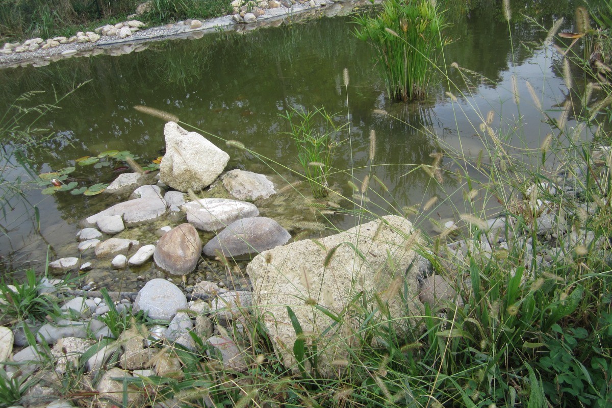 Photo n° 18 of the location