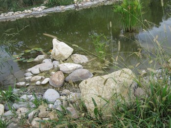 Photo n° 18 of the location
