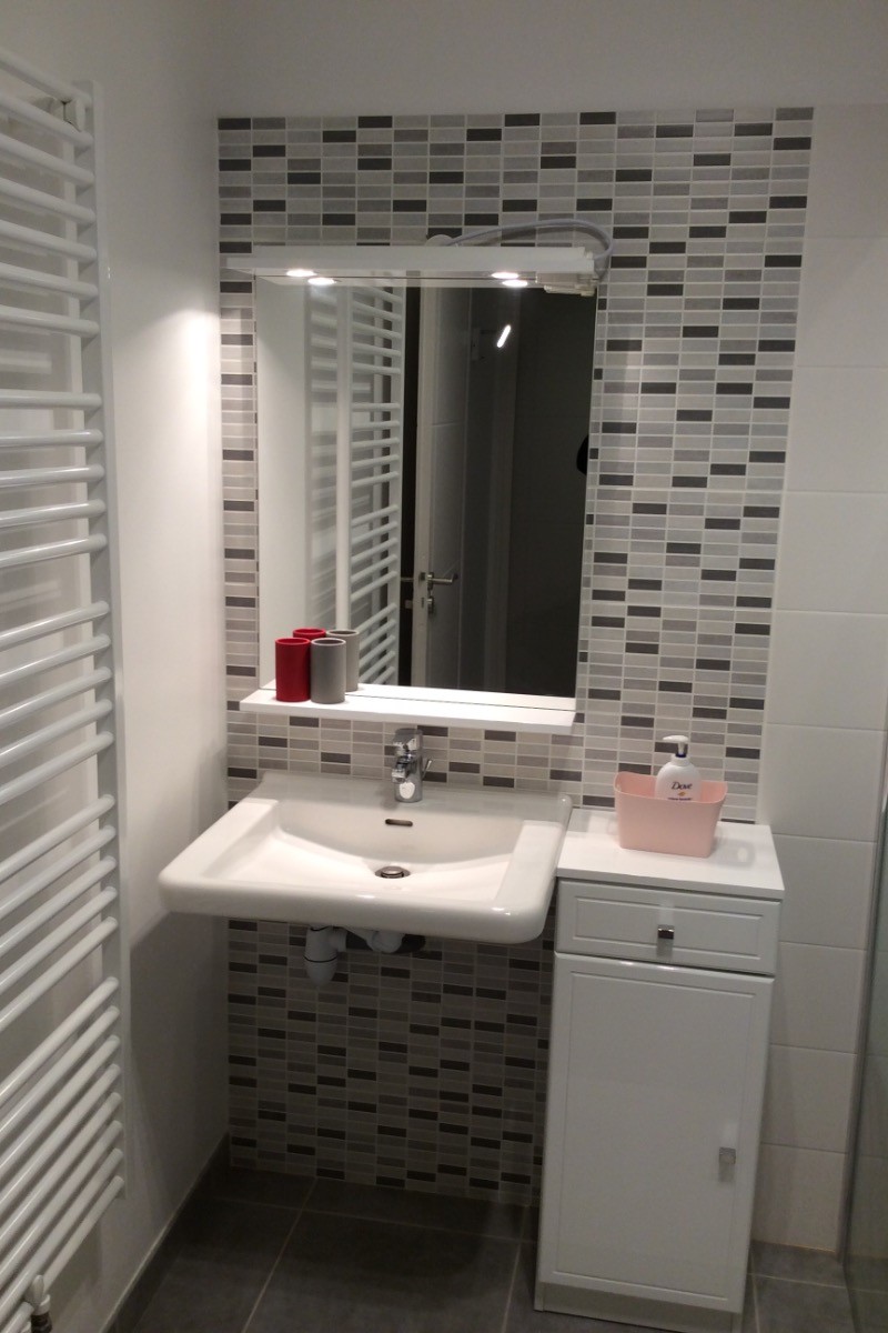Salle d eau RDC