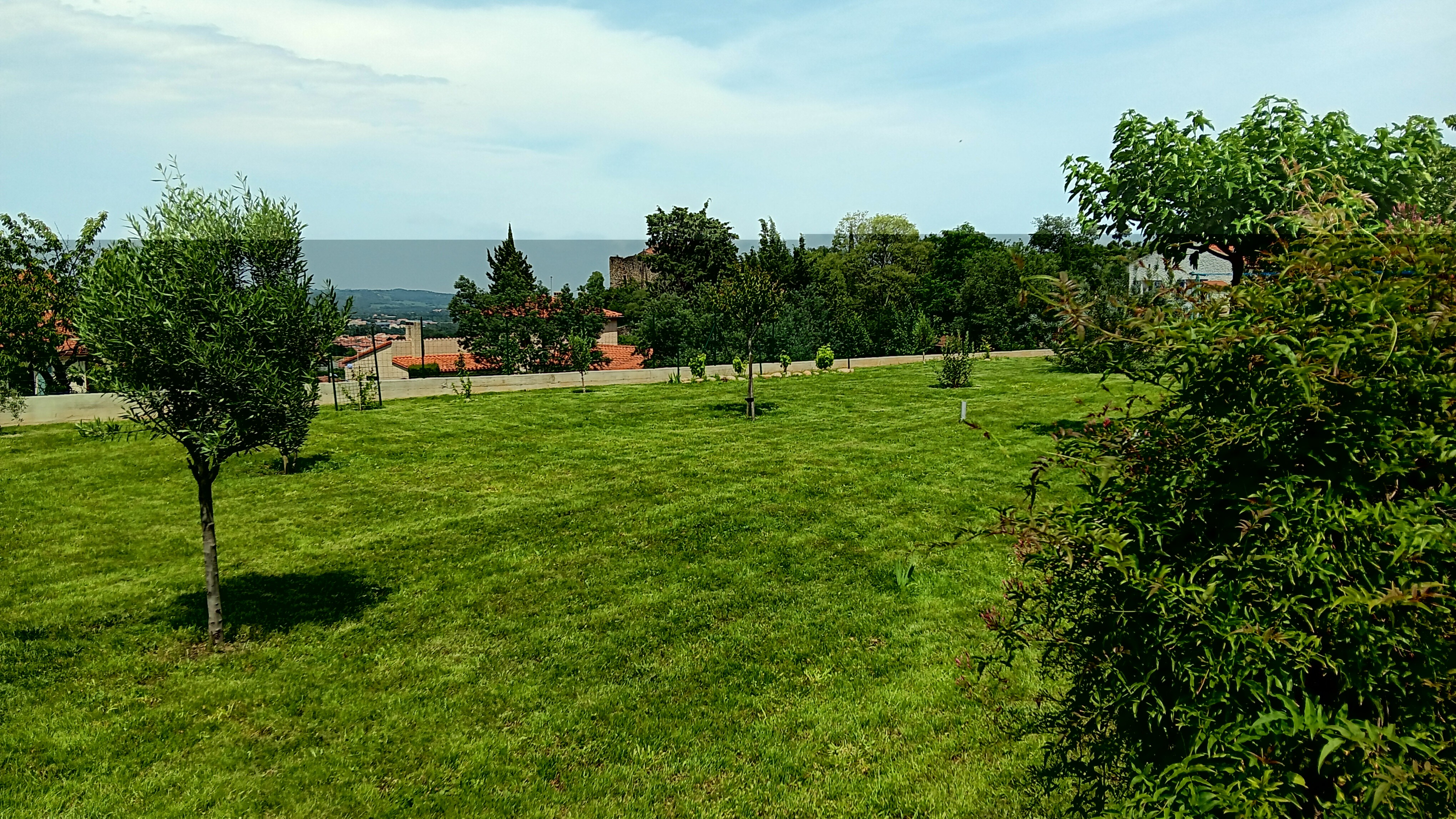 Jardin 5