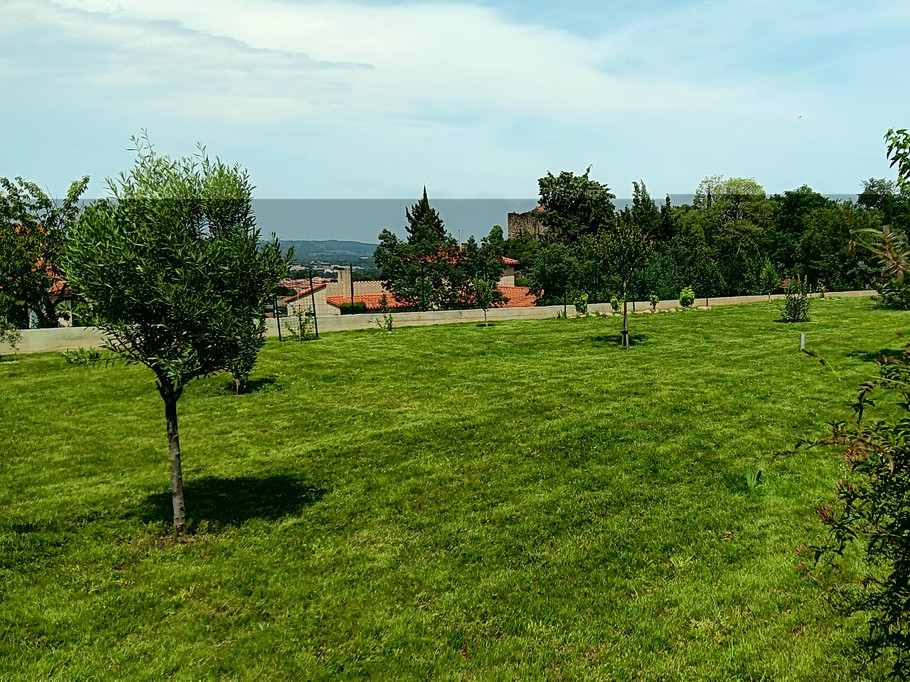 Jardin 5