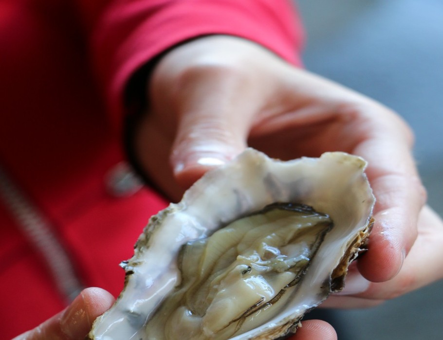 Huitres - SCEA Fine de Cancale - Les Nielles - Saint-Méloir-des-Ondes