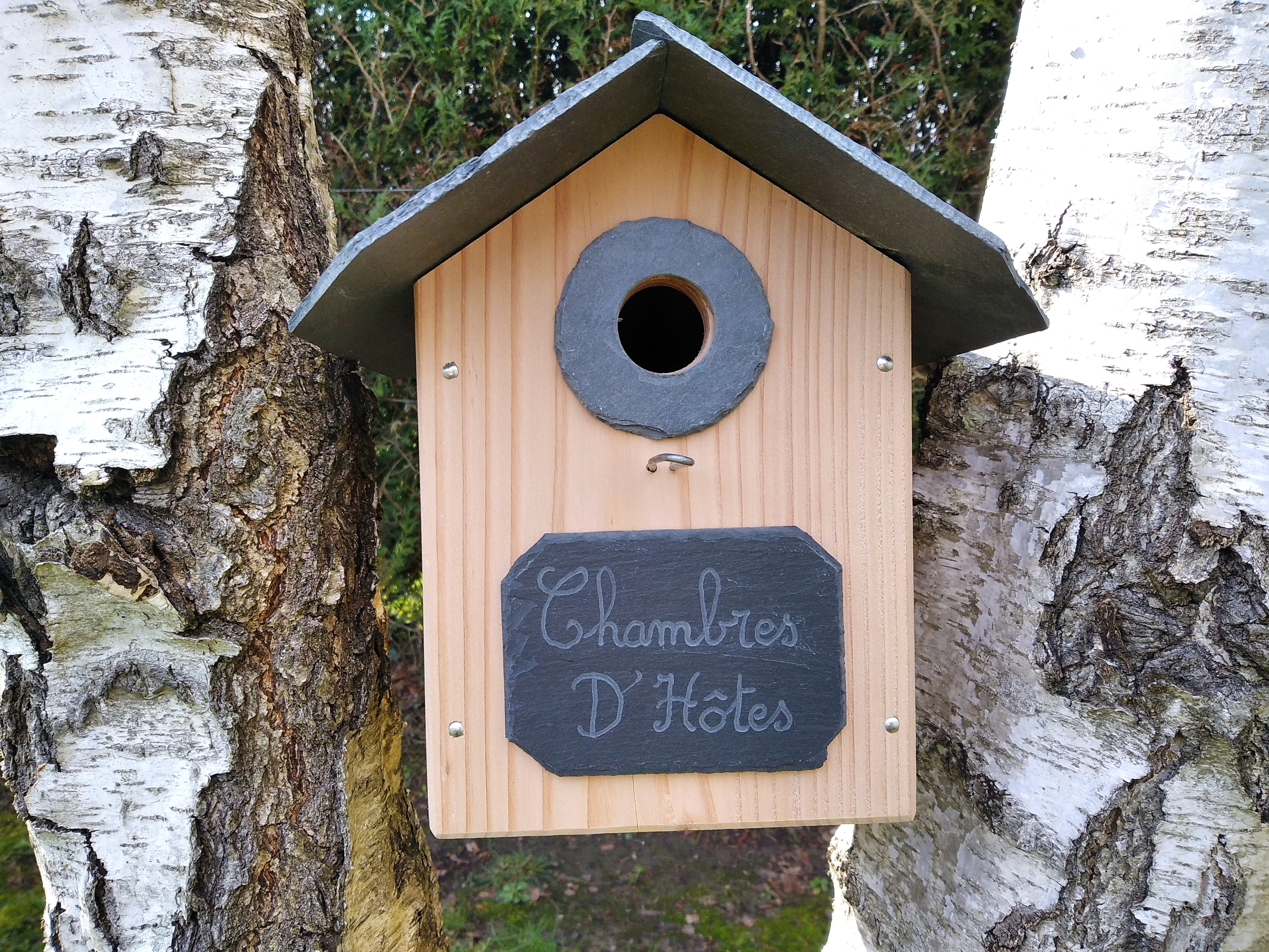 Accueil des mésanges