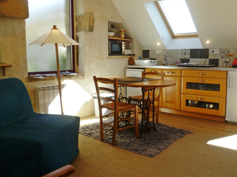 pièce de vie avec coin cuisine équipée