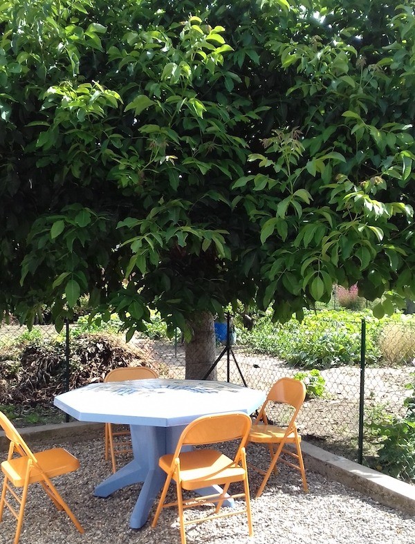 Photo n° 6 de la location