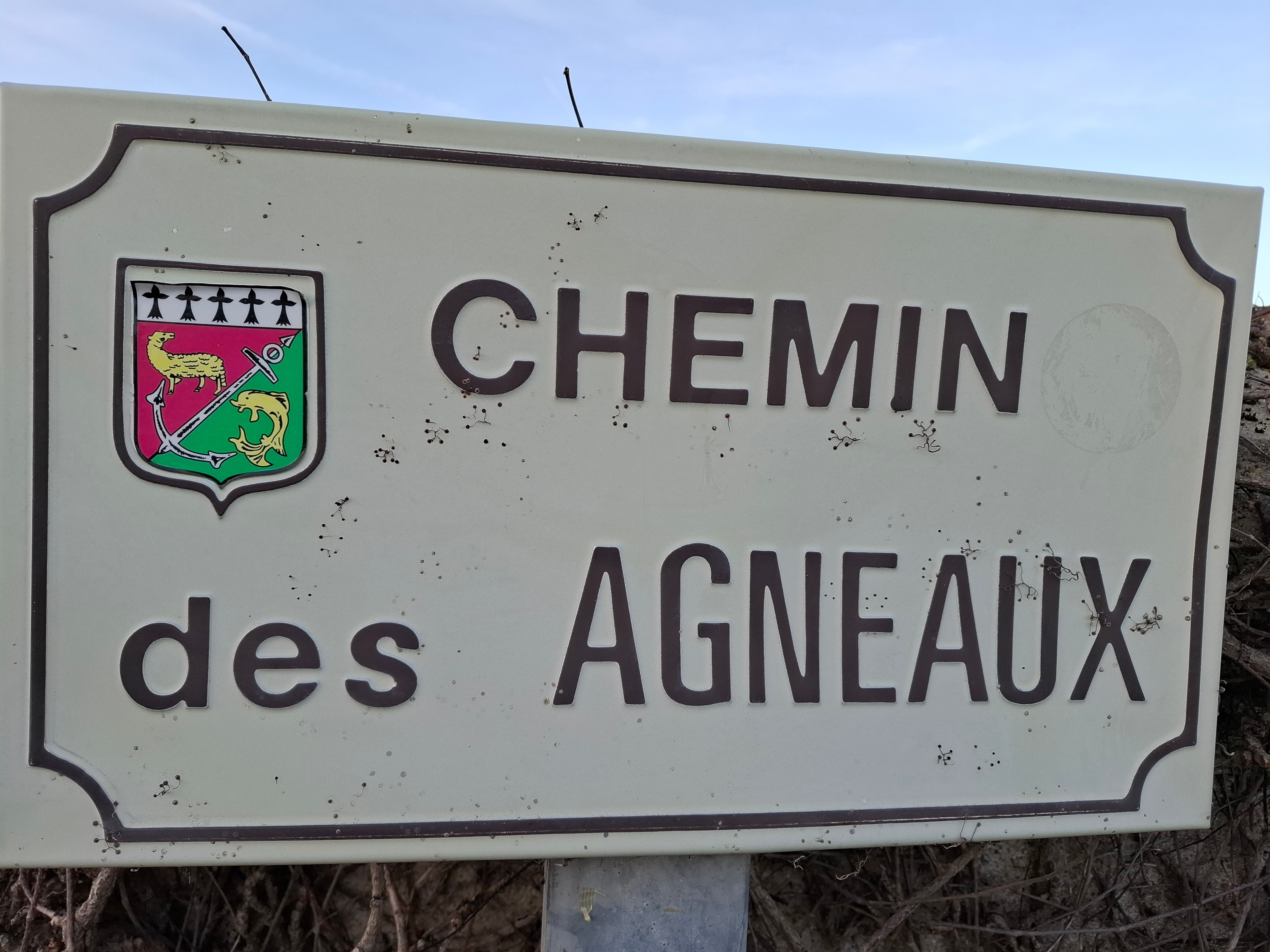 Photo n° 6 of the location