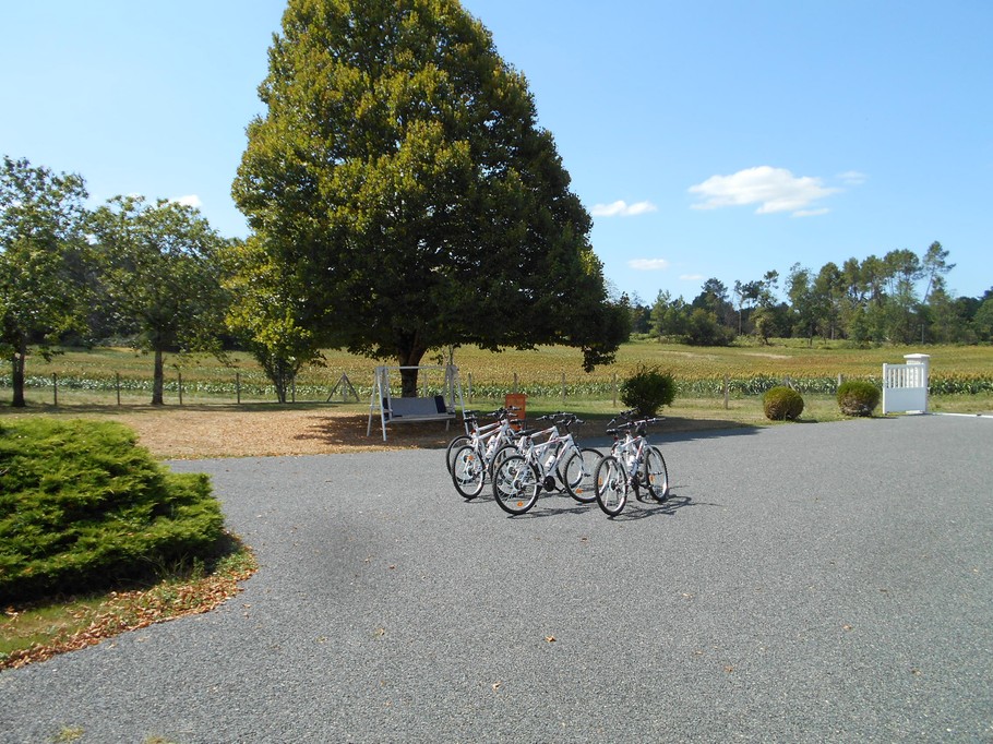 Vélos adulte cadre moyen