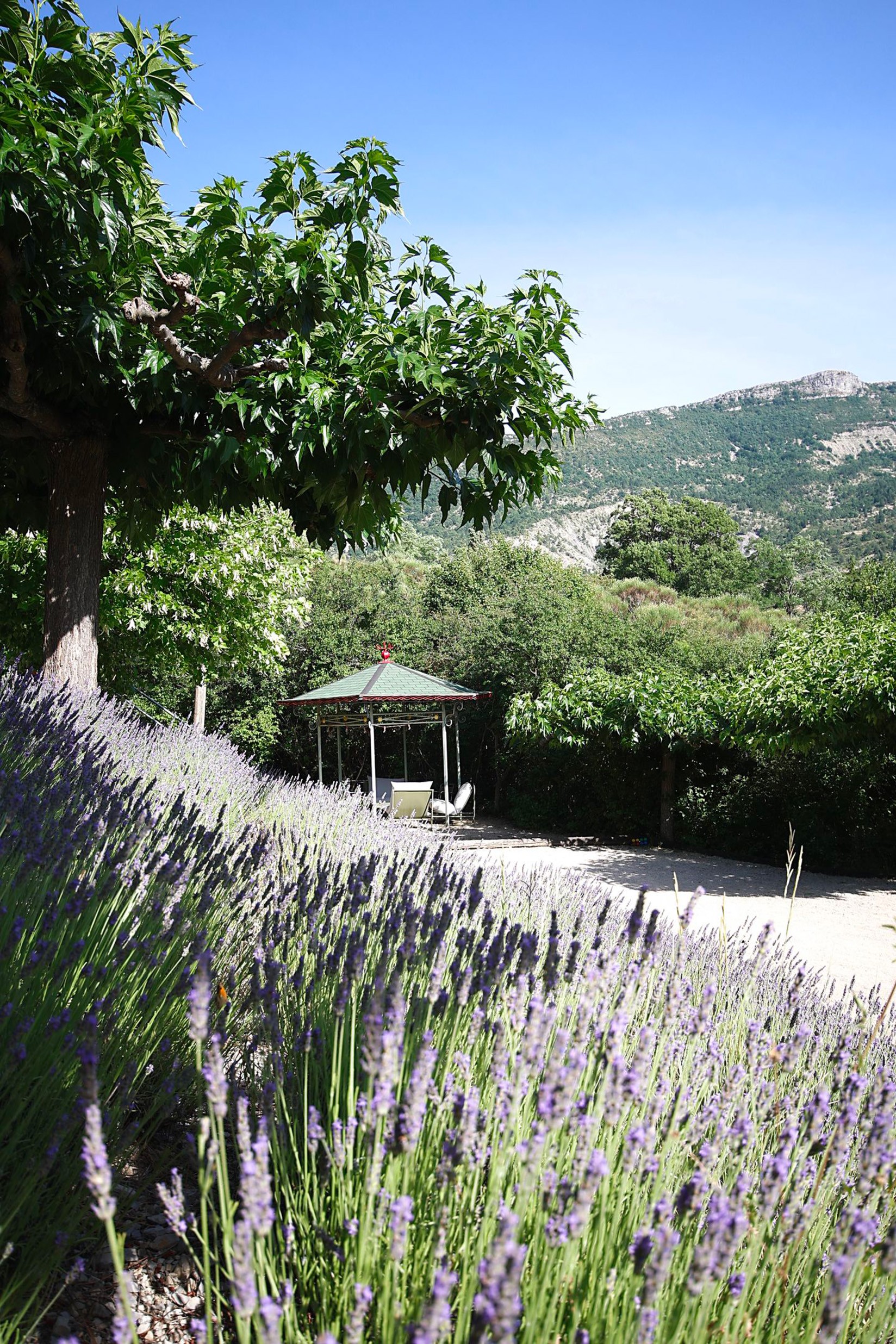 Photo n° 20 of the location