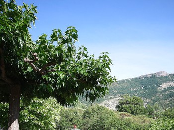 Photo n° 20 of the location